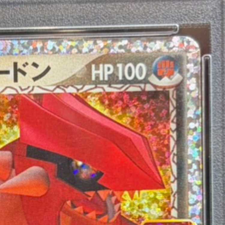 【PSA10】マグマ団のグラードン (25th) PROMO PROMO 011/025 1枚