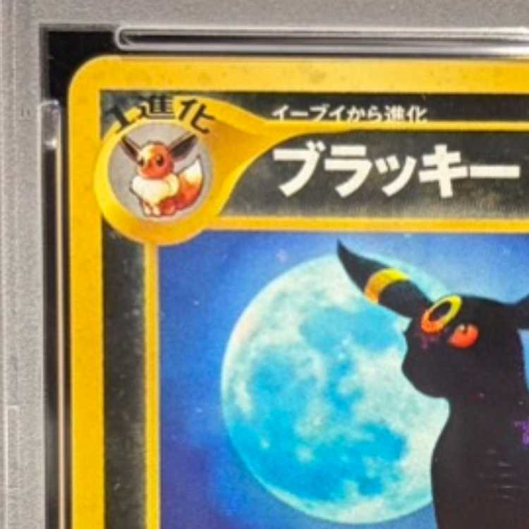 【PSA10】ブラッキー (-) {-} [遺跡をこえて] 1枚