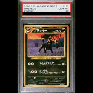 [PSA10] Umbreon Premium File Old Back 1枚