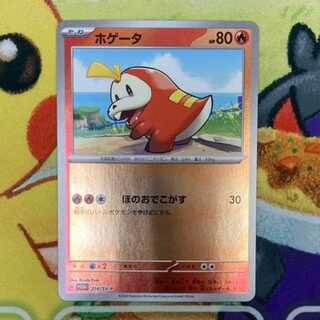 S278 Hogeta PROMO 214/SV-P 1枚