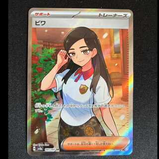 # Biwa SR 197/187 1枚