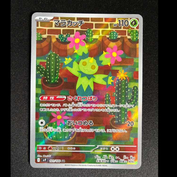 # Maractus AR 101/100 1枚