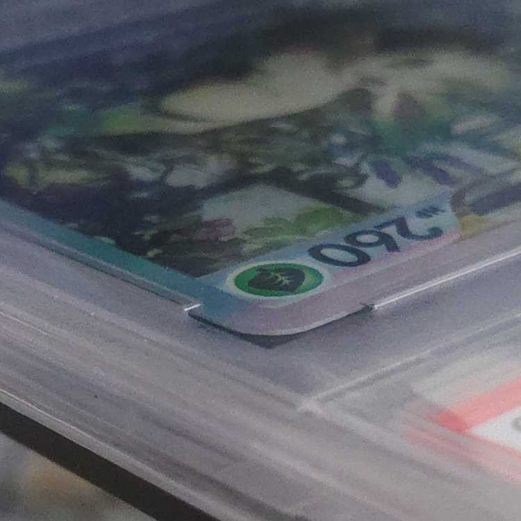 [PSA10] LeafeonVSTAR SAR 210/172 1枚