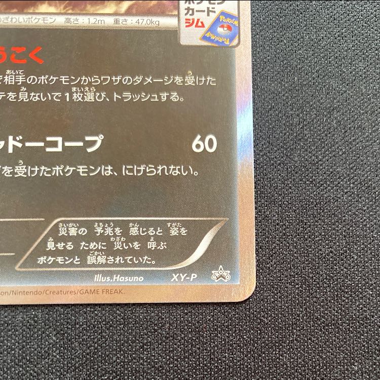 アブソル PROMO XY-P 1枚