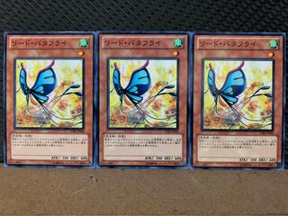 【ぽぽたん】遊戯王 9236 リード・バタフライ 3枚 ノーマル