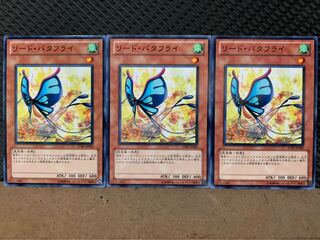【ぽぽたん】遊戯王 2473 リード・バタフライ 3枚 ノーマル