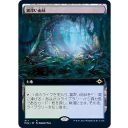 [EX](FOIL)(Full Art)Misty Rainforest/Misty Rainforest [Japanese] [MH2 1枚