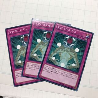 マクロコスモス