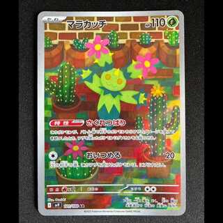 # Maractus AR 101/100 1枚