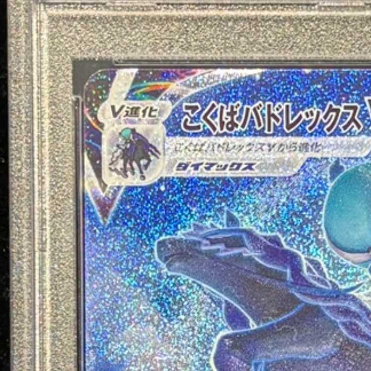 PSA10] Kokuba Budrex VMAX HR 086/070 1枚