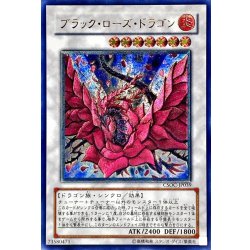 〔状態A-〕ブラックローズドラゴン【レリーフ】{CSOC-JP039}《シンクロ》 1枚