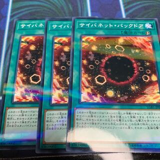 サイバネット・バックドア P-N