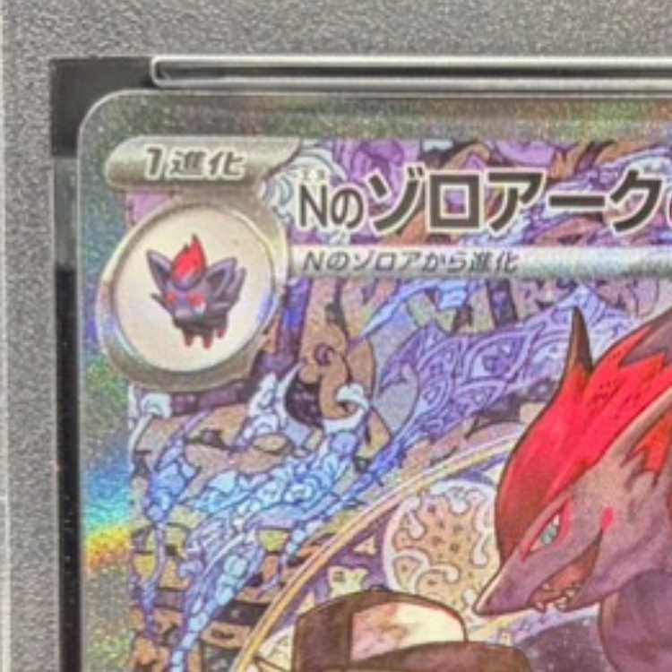 PSA10] N Zoroarkex SAR 242/193 1枚