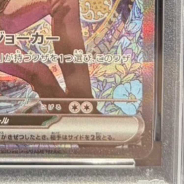 PSA10] N Zoroarkex SAR 242/193 1枚