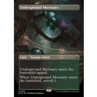 [EX+](フルアート)地底の遺体安置所/Underground Mortuary《英語》【MKM】 1枚