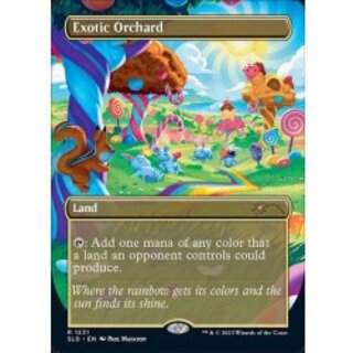 (1231)Exotic Orchard/Exotic Orchard《English》 [SLD 1枚