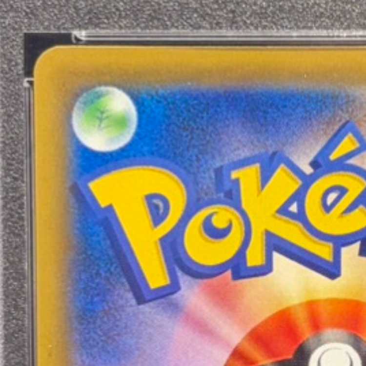 PSA10] Pikachu & ZekromGX UR 221/173 1枚