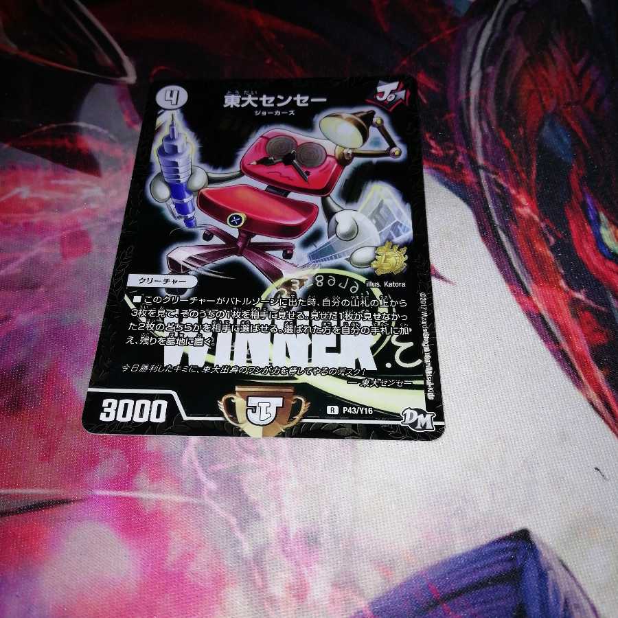 University of Tokyo Sensai