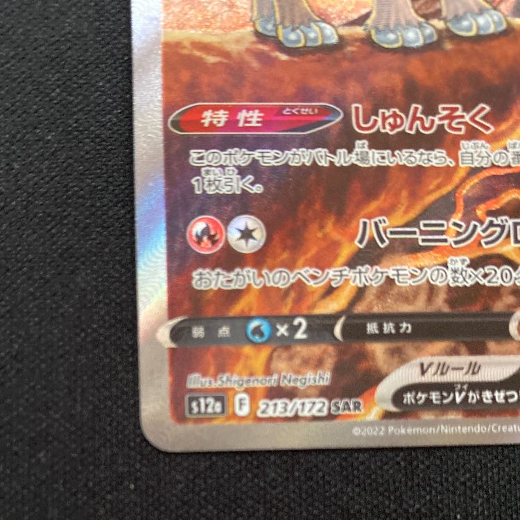 EnteiV SAR 213/172 1枚