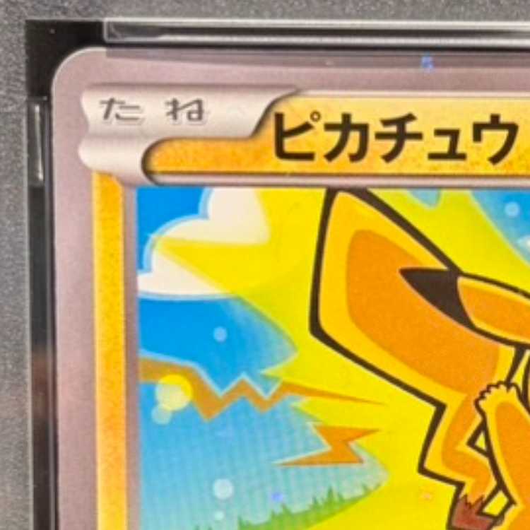 PSA10] Pikachu PROMO 206/XY-P 1枚