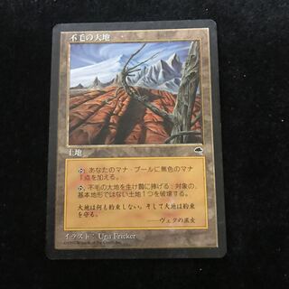 【しゅん様専用】不毛の大地TMP 日1枚