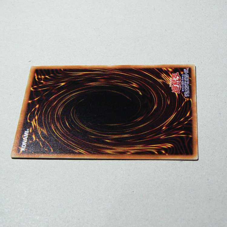 Red-Eyes Black Dragon+Red-Eyes Darkness Metal Dragon set of 2 2枚