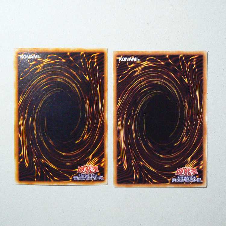 Red-Eyes Black Dragon+Red-Eyes Darkness Metal Dragon set of 2 2枚