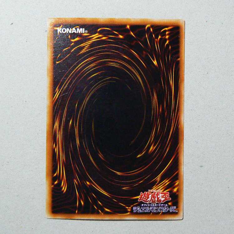 Red-Eyes Black Dragon+Red-Eyes Darkness Metal Dragon set of 2 2枚