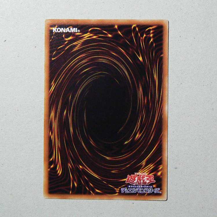 Red-Eyes Black Dragon+Red-Eyes Darkness Metal Dragon set of 2 2枚