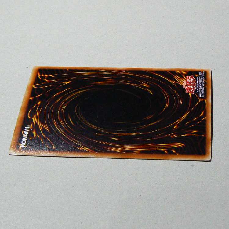 Red-Eyes Black Dragon+Red-Eyes Darkness Metal Dragon set of 2 2枚