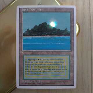 MTG tropical island イタリア語