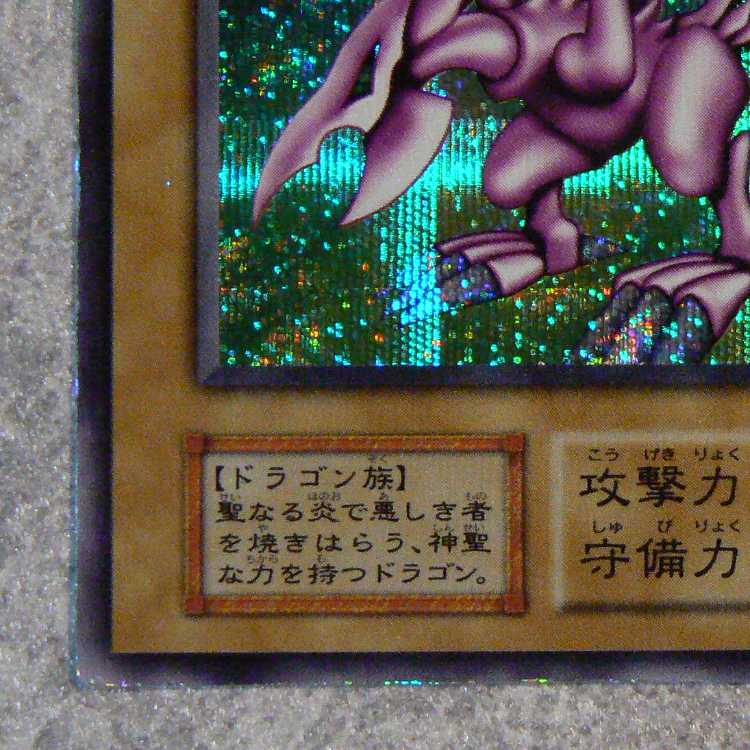 Seiyaryu [initial secret]. 1枚