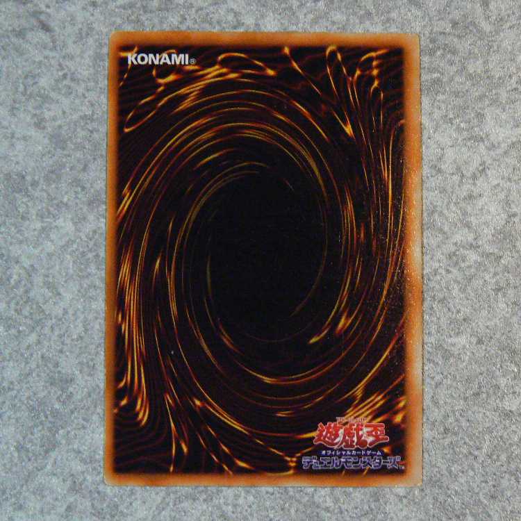 Seiyaryu [initial secret]. 1枚
