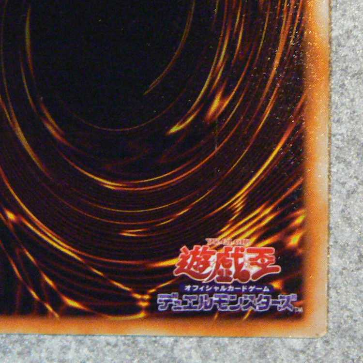 Seiyaryu [initial secret]. 1枚