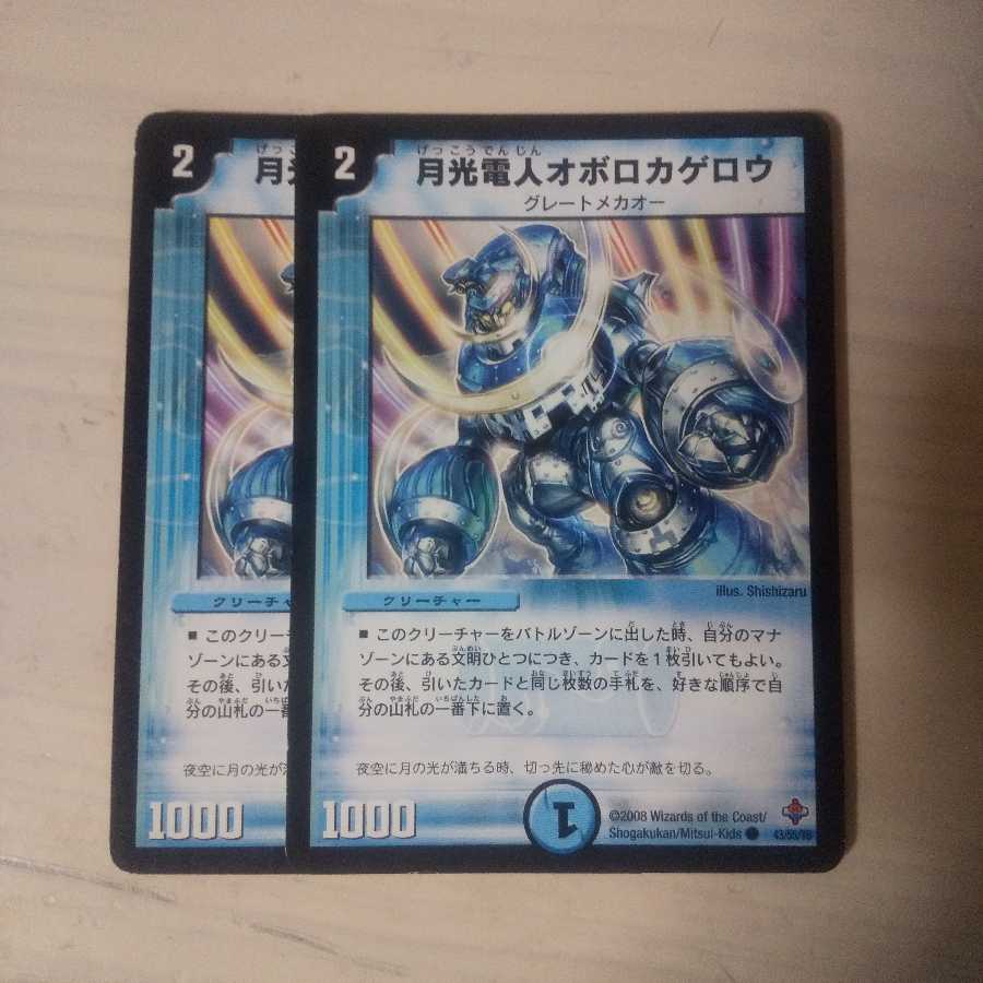 オボロカゲロウ 1枚