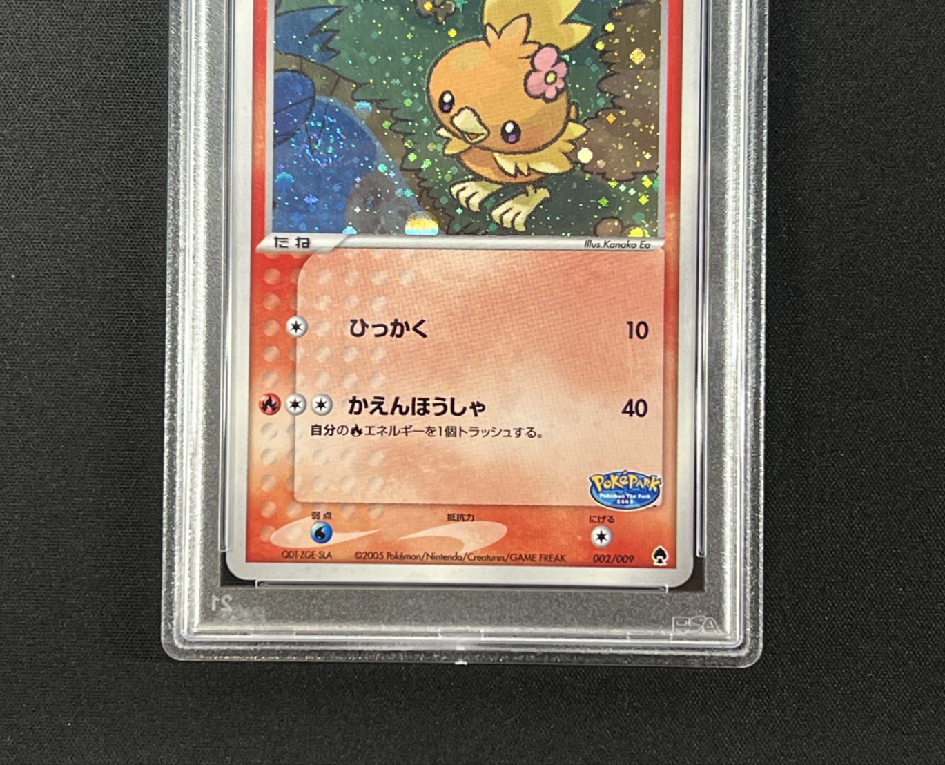 〔PSA10鑑定済〕ポケパークのアチャモ【-】{002/009} 1枚