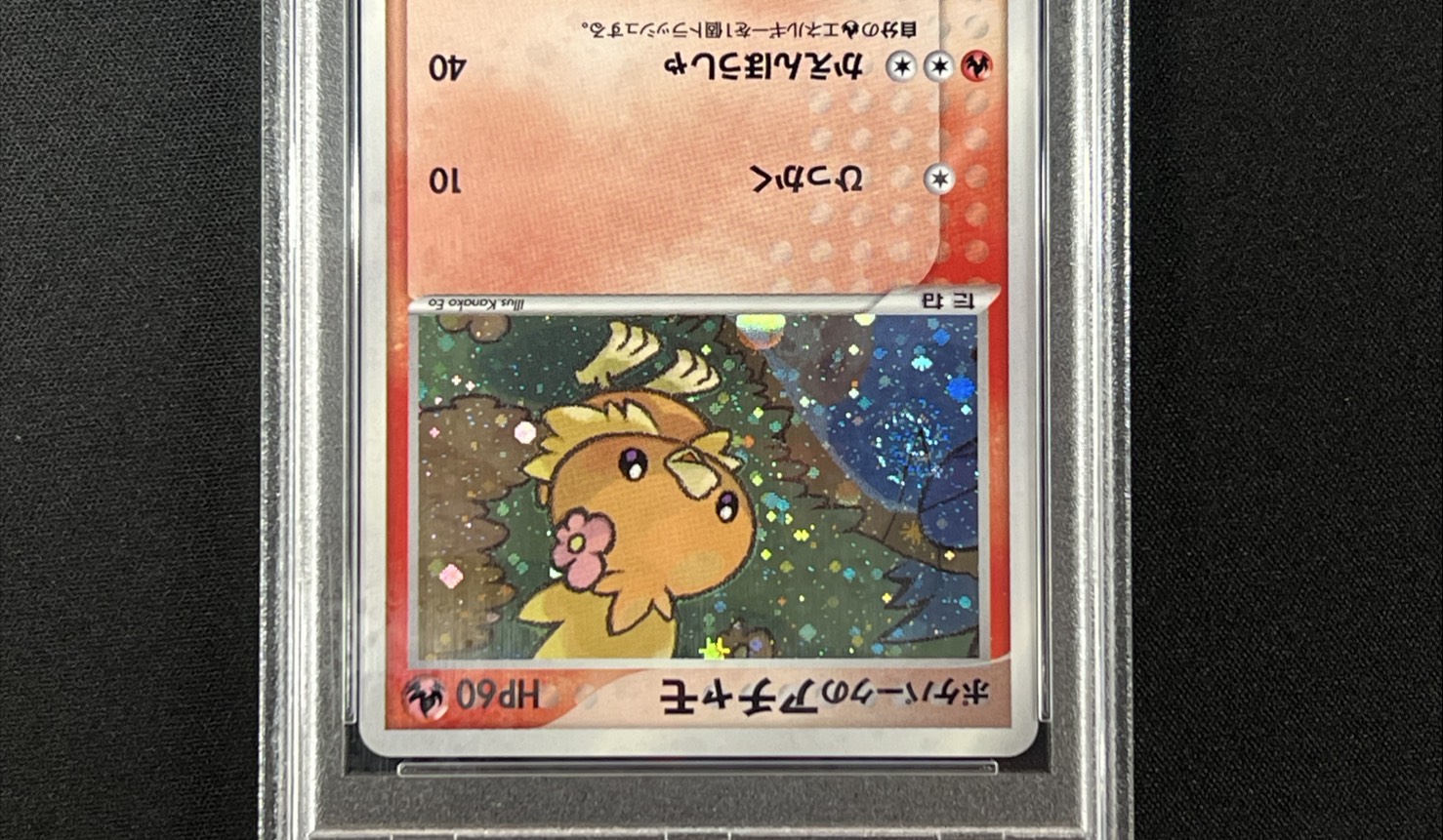 〔PSA10鑑定済〕ポケパークのアチャモ【-】{002/009} 1枚