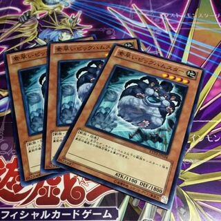 素早いビッグハムスター【N】