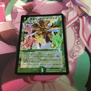 爆進イントゥ・ザ・ワイルド プロモ