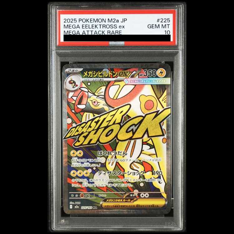 [PSA10] Mega Eelektrossex MA 225/193 1枚