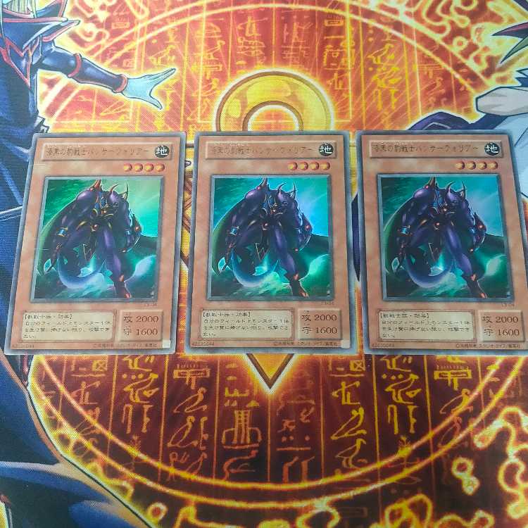Panther Warrior Ultra Rare 04 3枚