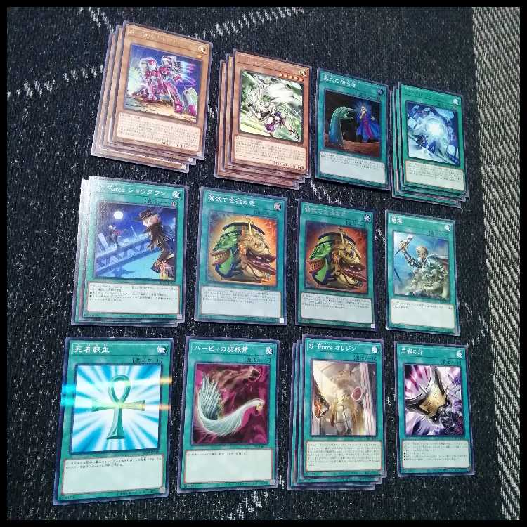 Yu-Gi-Oh! Deck S-Force Security Riryoku [04990]. 1枚