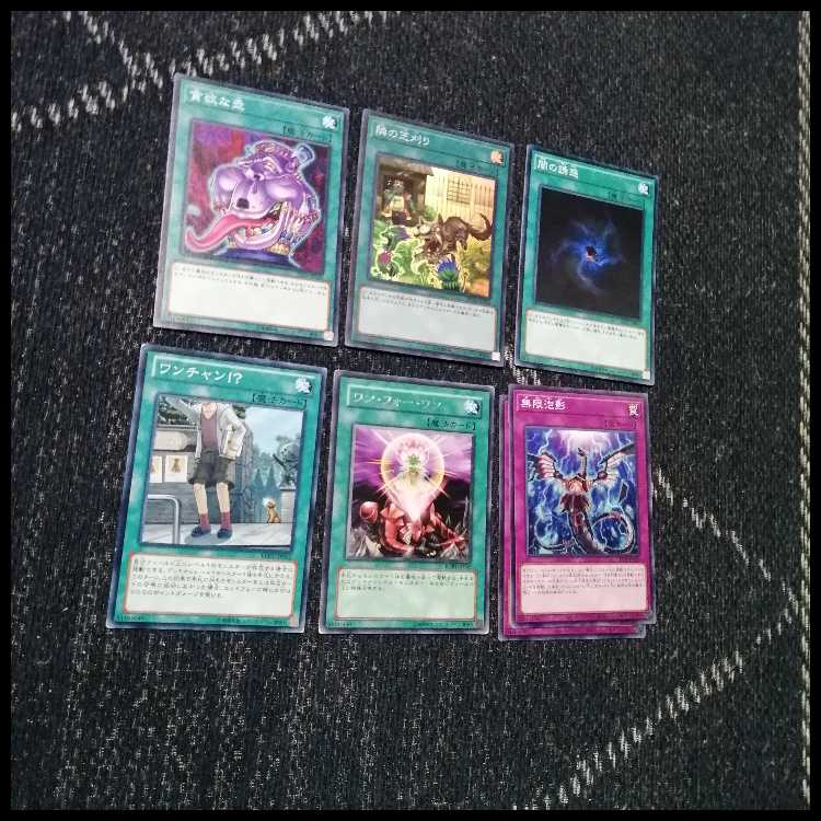 Yu-Gi-Oh Deck Lawn Mowing Wight [04989]. 1枚