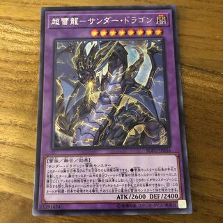 超雷龍-サンダー・ドラゴン　シク