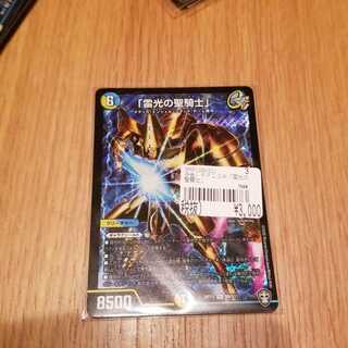 「雷光の聖騎士」　ライトニングソードパラリン