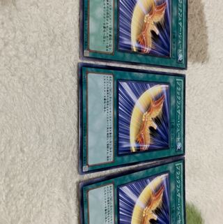 ブラックフェザー・シュート N