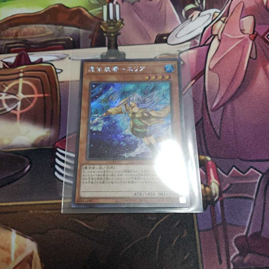 [わたなべ様専用]憑依装着-エリア　絵違いシク