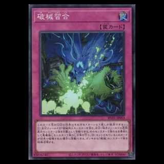 Shugai Shugai (Super Rare) RV01-JP053 Yu-Gi-Oh Trekking Road 1枚