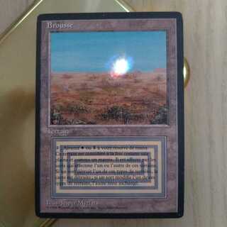 MTG scrubland 黒枠 フランス語 1枚