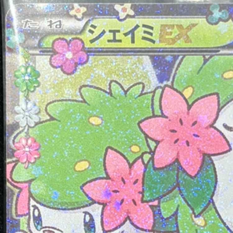 シェイミEX PROMO 212/XY-P 1枚
